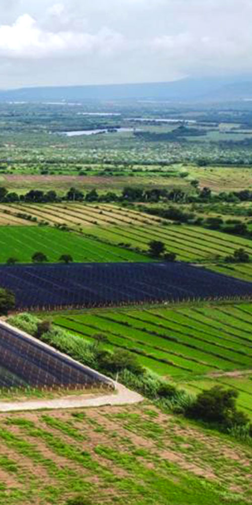 Palapa San Francisco